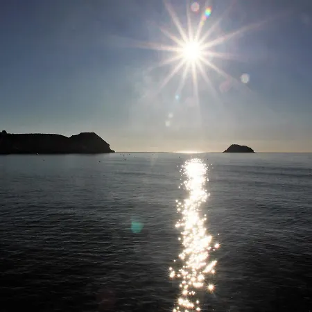 Alba *
